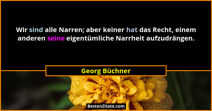 Wir sind alle Narren; aber keiner hat das Recht, einem anderen seine eigentümliche Narrheit aufzudrängen.... - Georg Büchner