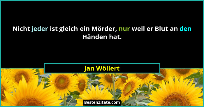 Nicht jeder ist gleich ein Mörder, nur weil er Blut an den Händen hat.... - Jan Wöllert