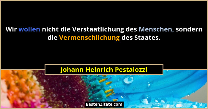 Wir wollen nicht die Verstaatlichung des Menschen, sondern die Vermenschlichung des Staates.... - Johann Heinrich Pestalozzi