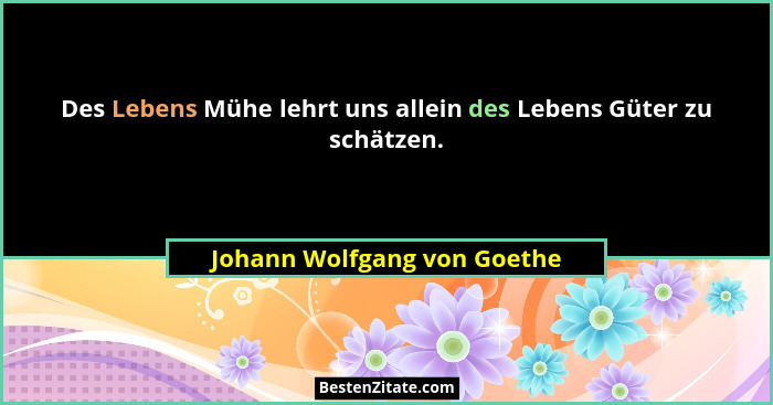 Des Lebens Mühe lehrt uns allein des Lebens Güter zu schätzen.... - Johann Wolfgang von Goethe