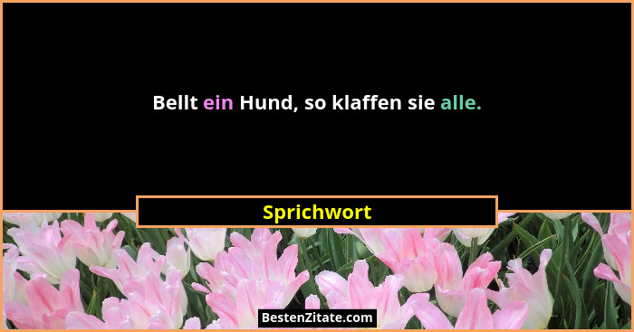 Bellt ein Hund, so klaffen sie alle.... - Sprichwort
