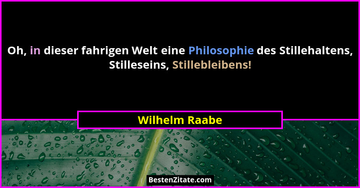 Oh, in dieser fahrigen Welt eine Philosophie des Stillehaltens, Stilleseins, Stillebleibens!... - Wilhelm Raabe