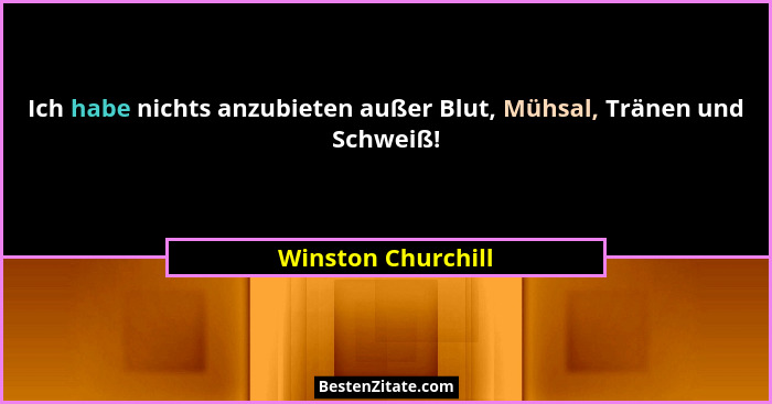 Ich habe nichts anzubieten außer Blut, Mühsal, Tränen und Schweiß!... - Winston Churchill