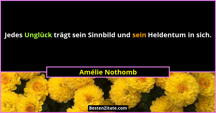 Jedes Unglück trägt sein Sinnbild und sein Heldentum in sich.... - Amélie Nothomb