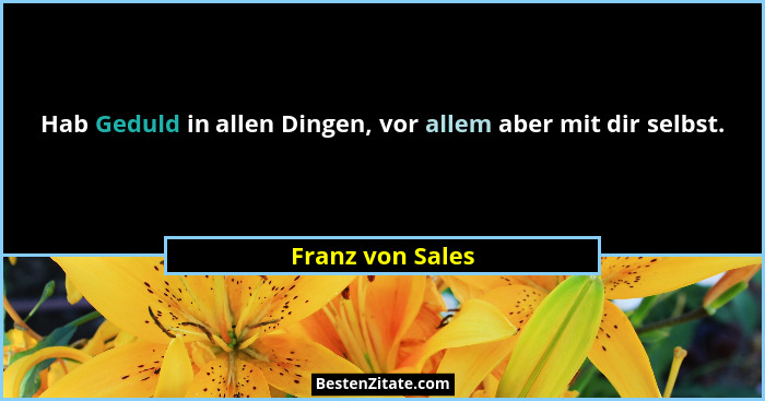 Hab Geduld in allen Dingen, vor allem aber mit dir selbst.... - Franz von Sales