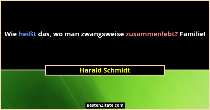 Wie heißt das, wo man zwangsweise zusammenlebt? Familie!... - Harald Schmidt