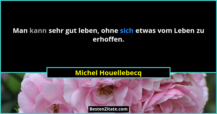 Man kann sehr gut leben, ohne sich etwas vom Leben zu erhoffen.... - Michel Houellebecq
