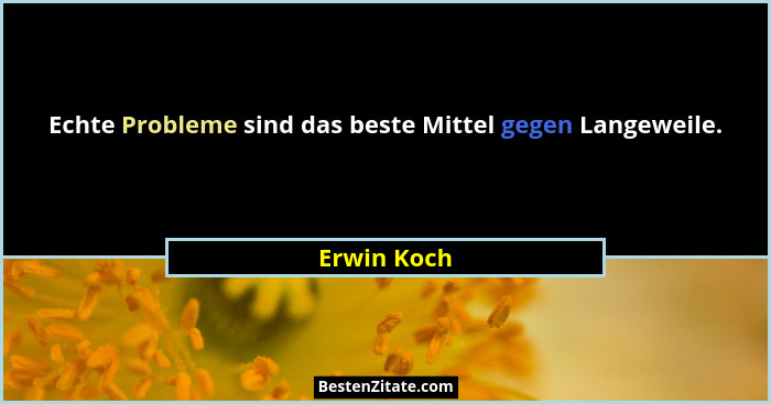 Echte Probleme sind das beste Mittel gegen Langeweile.... - Erwin Koch