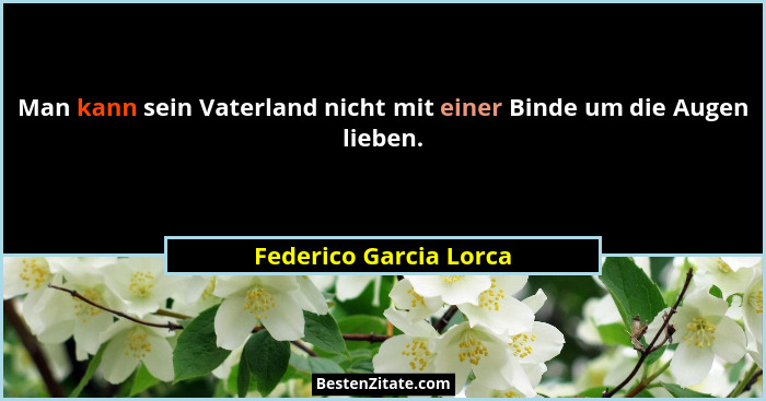 Man kann sein Vaterland nicht mit einer Binde um die Augen lieben.... - Federico Garcia Lorca