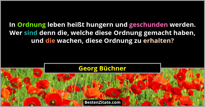 In Ordnung leben heißt hungern und geschunden werden. Wer sind denn die, welche diese Ordnung gemacht haben, und die wachen, diese Ord... - Georg Büchner