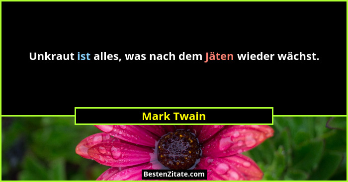 Unkraut ist alles, was nach dem Jäten wieder wächst.... - Mark Twain