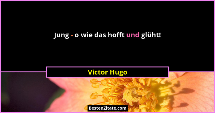 Jung - o wie das hofft und glüht!... - Victor Hugo