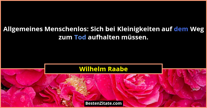 Allgemeines Menschenlos: Sich bei Kleinigkeiten auf dem Weg zum Tod aufhalten müssen.... - Wilhelm Raabe