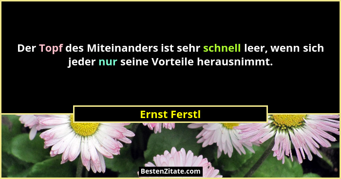 Der Topf des Miteinanders ist sehr schnell leer, wenn sich jeder nur seine Vorteile herausnimmt.... - Ernst Ferstl