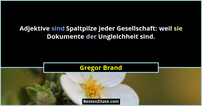 Adjektive sind Spaltpilze jeder Gesellschaft: weil sie Dokumente der Ungleichheit sind.... - Gregor Brand