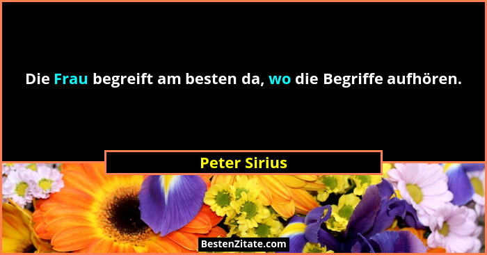 Die Frau begreift am besten da, wo die Begriffe aufhören.... - Peter Sirius