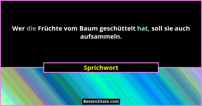 Wer die Früchte vom Baum geschüttelt hat, soll sie auch aufsammeln.... - Sprichwort