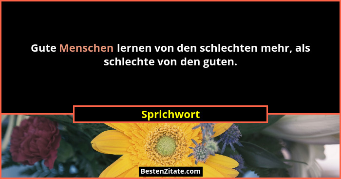 Gute Menschen lernen von den schlechten mehr, als schlechte von den guten.... - Sprichwort
