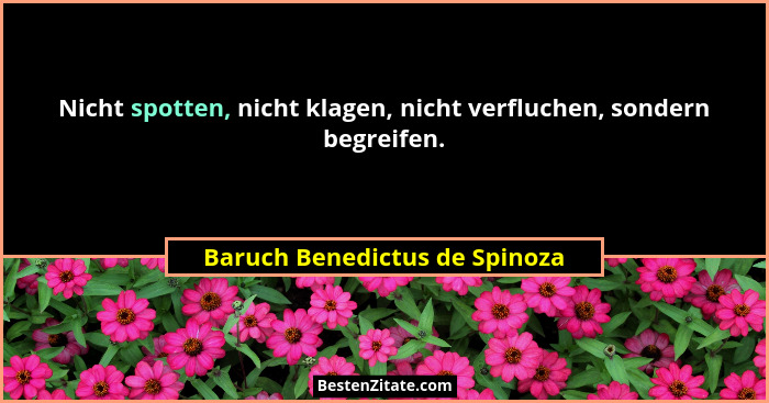 Nicht spotten, nicht klagen, nicht verfluchen, sondern begreifen.... - Baruch Benedictus de Spinoza