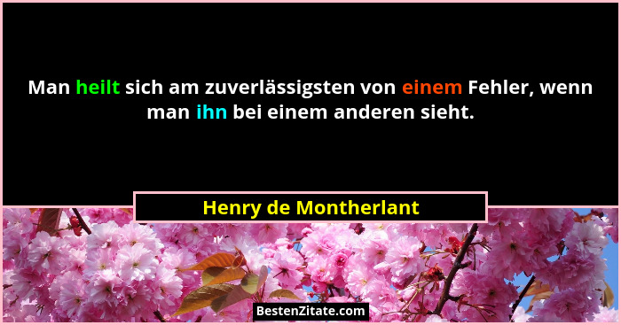Man heilt sich am zuverlässigsten von einem Fehler, wenn man ihn bei einem anderen sieht.... - Henry de Montherlant