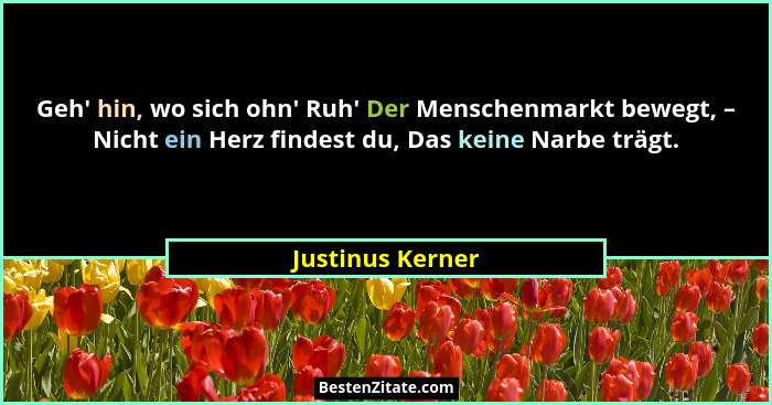 Geh' hin, wo sich ohn' Ruh' Der Menschenmarkt bewegt, – Nicht ein Herz findest du, Das keine Narbe trägt.... - Justinus Kerner