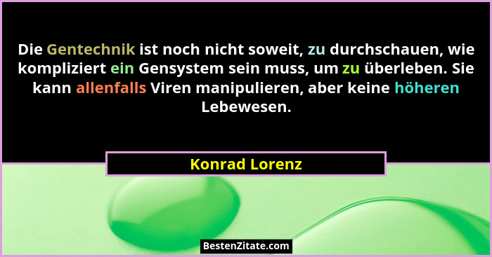 Die Gentechnik ist noch nicht soweit, zu durchschauen, wie kompliziert ein Gensystem sein muss, um zu überleben. Sie kann allenfalls V... - Konrad Lorenz