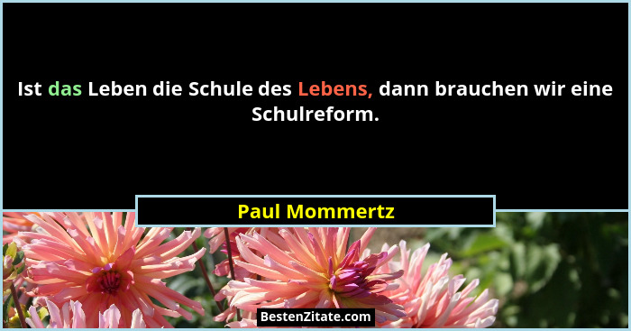 Ist das Leben die Schule des Lebens, dann brauchen wir eine Schulreform.... - Paul Mommertz