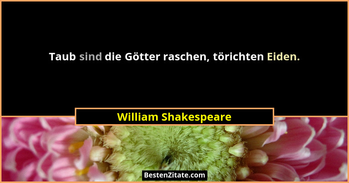 Taub sind die Götter raschen, törichten Eiden.... - William Shakespeare
