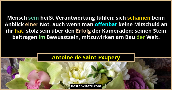 Mensch sein heißt Verantwortung fühlen: sich schämen beim Anblick einer Not, auch wenn man offenbar keine Mitschuld an ihr... - Antoine de Saint-Exupery