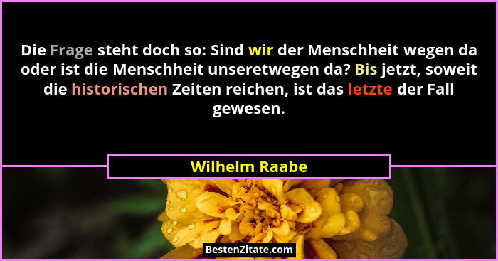 Die Frage steht doch so: Sind wir der Menschheit wegen da oder ist die Menschheit unseretwegen da? Bis jetzt, soweit die historischen... - Wilhelm Raabe