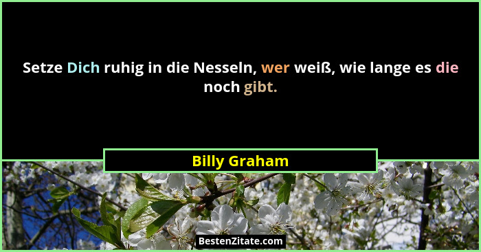 Setze Dich ruhig in die Nesseln, wer weiß, wie lange es die noch gibt.... - Billy Graham