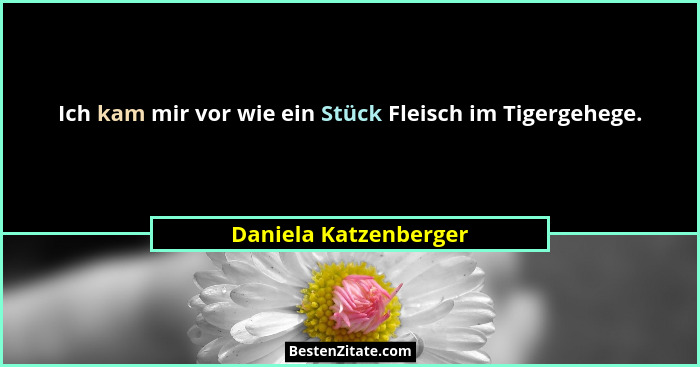 Ich kam mir vor wie ein Stück Fleisch im Tigergehege.... - Daniela Katzenberger