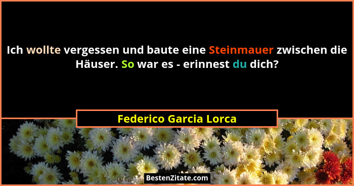 Ich wollte vergessen und baute eine Steinmauer zwischen die Häuser. So war es - erinnest du dich?... - Federico Garcia Lorca