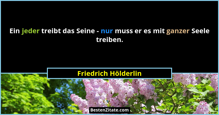 Ein jeder treibt das Seine - nur muss er es mit ganzer Seele treiben.... - Friedrich Hölderlin