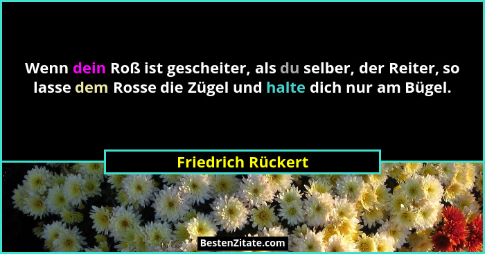 Wenn dein Roß ist gescheiter, als du selber, der Reiter, so lasse dem Rosse die Zügel und halte dich nur am Bügel.... - Friedrich Rückert