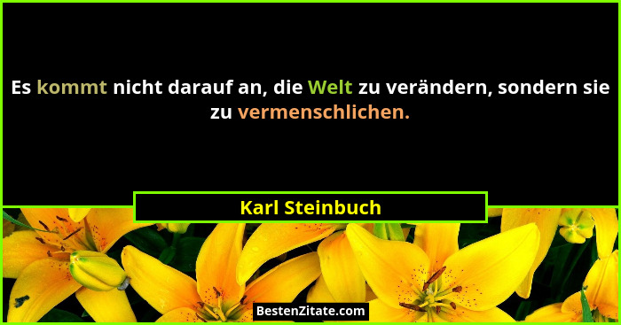 Es kommt nicht darauf an, die Welt zu verändern, sondern sie zu vermenschlichen.... - Karl Steinbuch