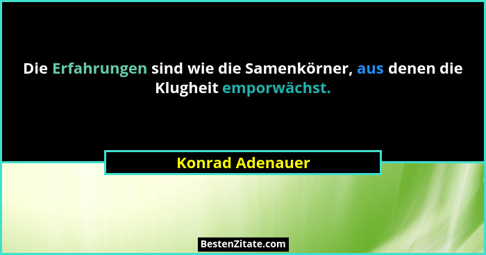 Die Erfahrungen sind wie die Samenkörner, aus denen die Klugheit emporwächst.... - Konrad Adenauer