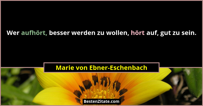 Wer aufhört, besser werden zu wollen, hört auf, gut zu sein.... - Marie von Ebner-Eschenbach