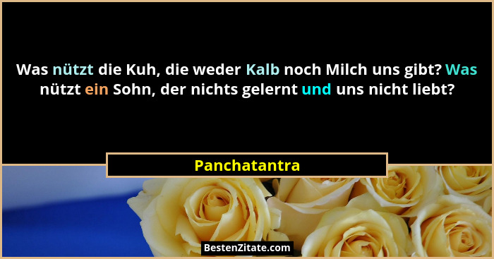 Was nützt die Kuh, die weder Kalb noch Milch uns gibt? Was nützt ein Sohn, der nichts gelernt und uns nicht liebt?... - Panchatantra