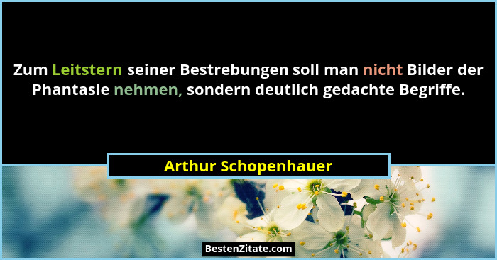 Zum Leitstern seiner Bestrebungen soll man nicht Bilder der Phantasie nehmen, sondern deutlich gedachte Begriffe.... - Arthur Schopenhauer