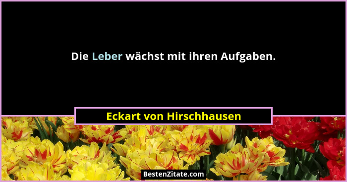 Die Leber wächst mit ihren Aufgaben.... - Eckart von Hirschhausen