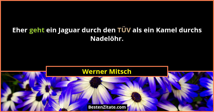 Eher geht ein Jaguar durch den TÜV als ein Kamel durchs Nadelöhr.... - Werner Mitsch