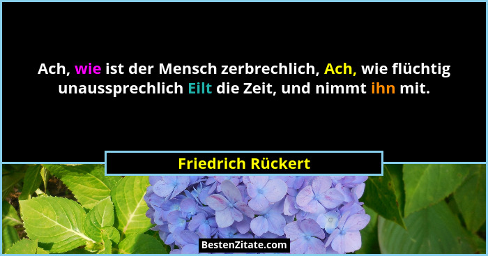 Ach, wie ist der Mensch zerbrechlich, Ach, wie flüchtig unaussprechlich Eilt die Zeit, und nimmt ihn mit.... - Friedrich Rückert