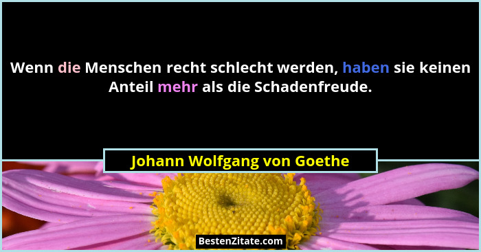 Wenn die Menschen recht schlecht werden, haben sie keinen Anteil mehr als die Schadenfreude.... - Johann Wolfgang von Goethe