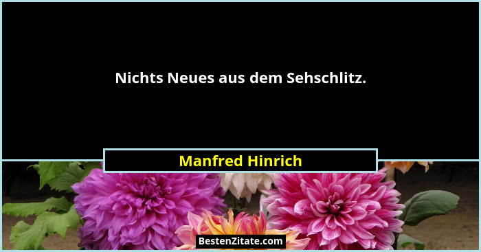 Nichts Neues aus dem Sehschlitz.... - Manfred Hinrich