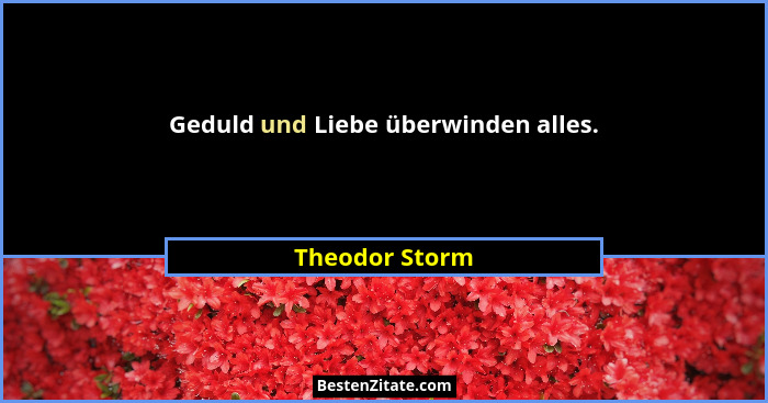 Geduld und Liebe überwinden alles.... - Theodor Storm