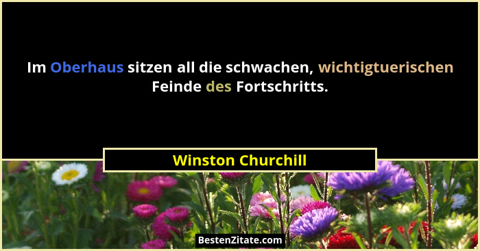 Im Oberhaus sitzen all die schwachen, wichtigtuerischen Feinde des Fortschritts.... - Winston Churchill