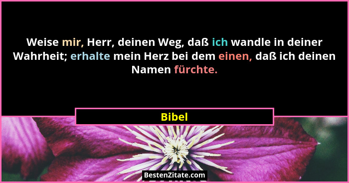 Weise mir, Herr, deinen Weg, daß ich wandle in deiner Wahrheit; erhalte mein Herz bei dem einen, daß ich deinen Namen fürchte.... - Bibel