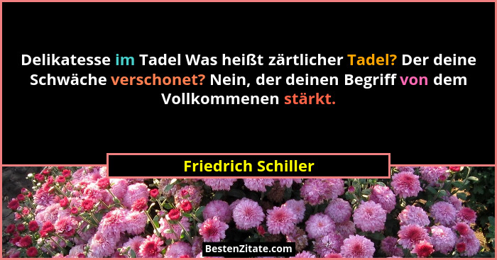 Delikatesse im Tadel Was heißt zärtlicher Tadel? Der deine Schwäche verschonet? Nein, der deinen Begriff von dem Vollkommenen stä... - Friedrich Schiller