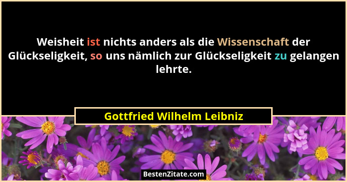Weisheit ist nichts anders als die Wissenschaft der Glückseligkeit, so uns nämlich zur Glückseligkeit zu gelangen lehrte.... - Gottfried Wilhelm Leibniz